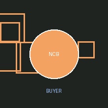 new_crypto_buyer